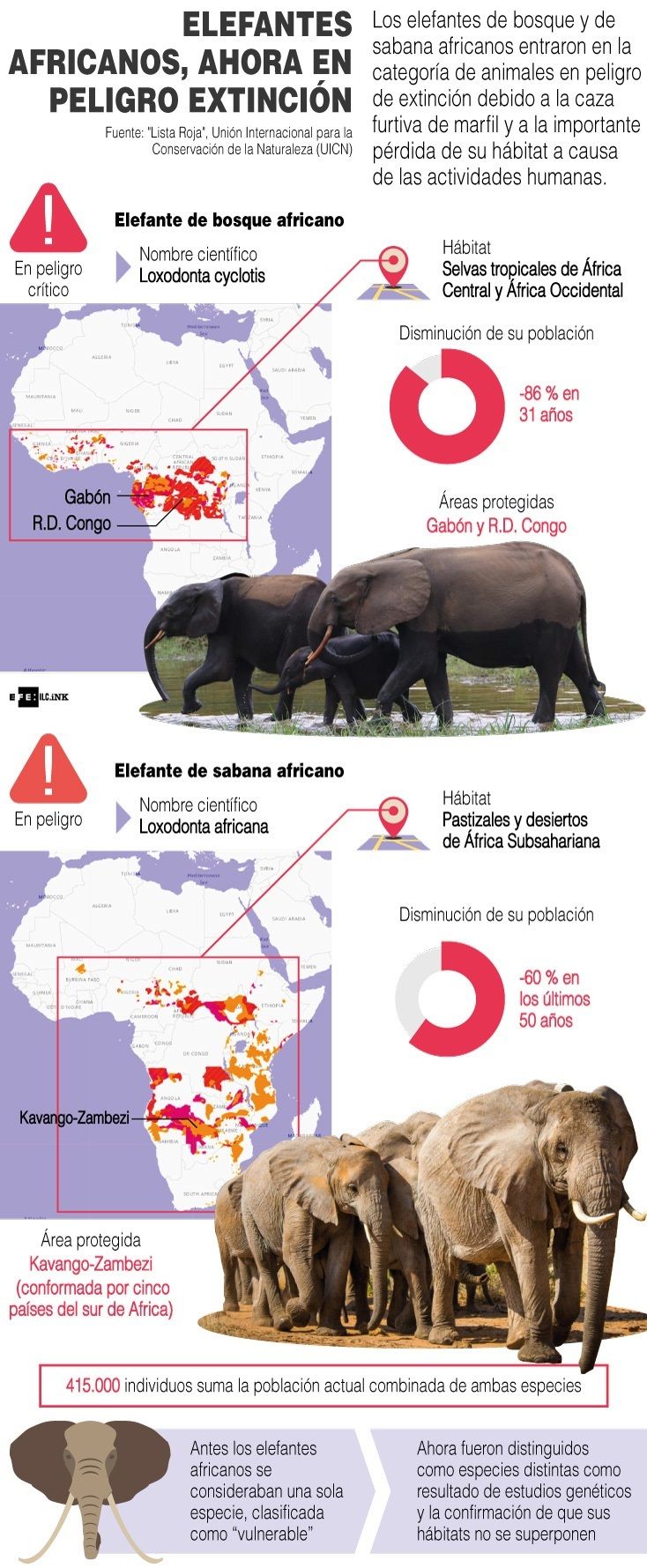 Infografía Elefates