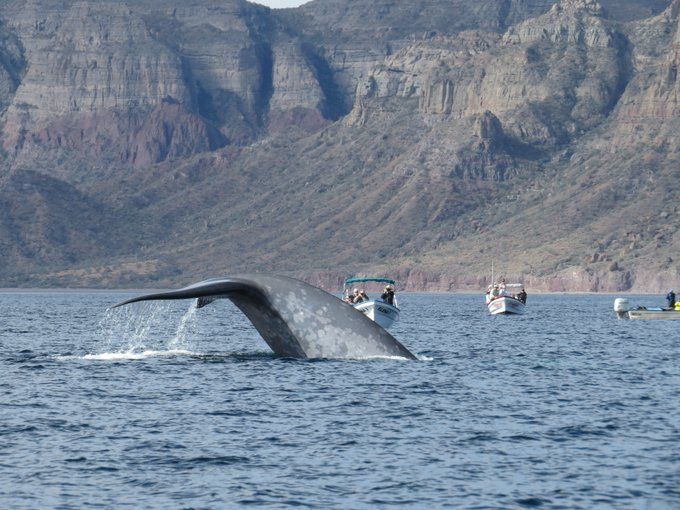 Parque Nacional Bahía de Loreto