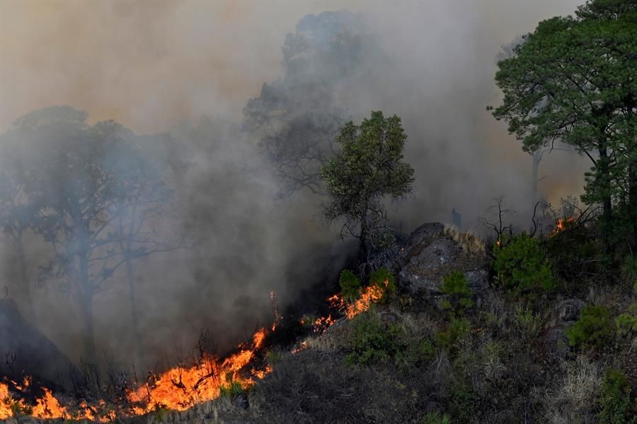 incendio forestal en Tepoztlán