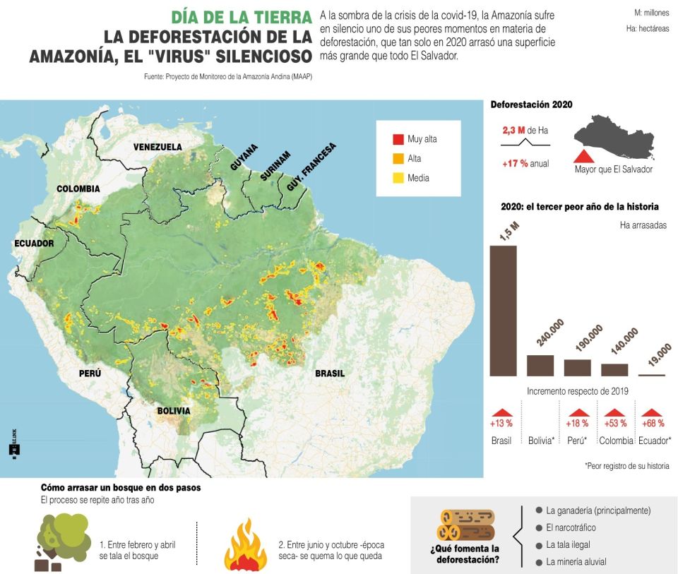 Infografía. Deforestación en Amazonía