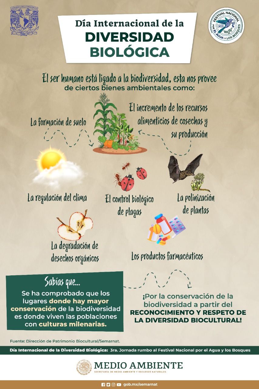 Infografía Biodiversidad