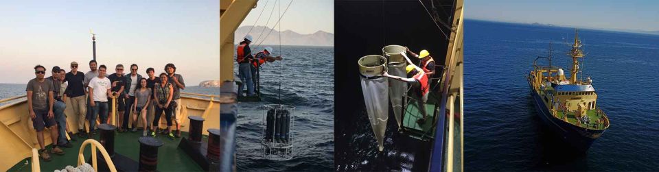 Golfo de California por calentamiento del océano