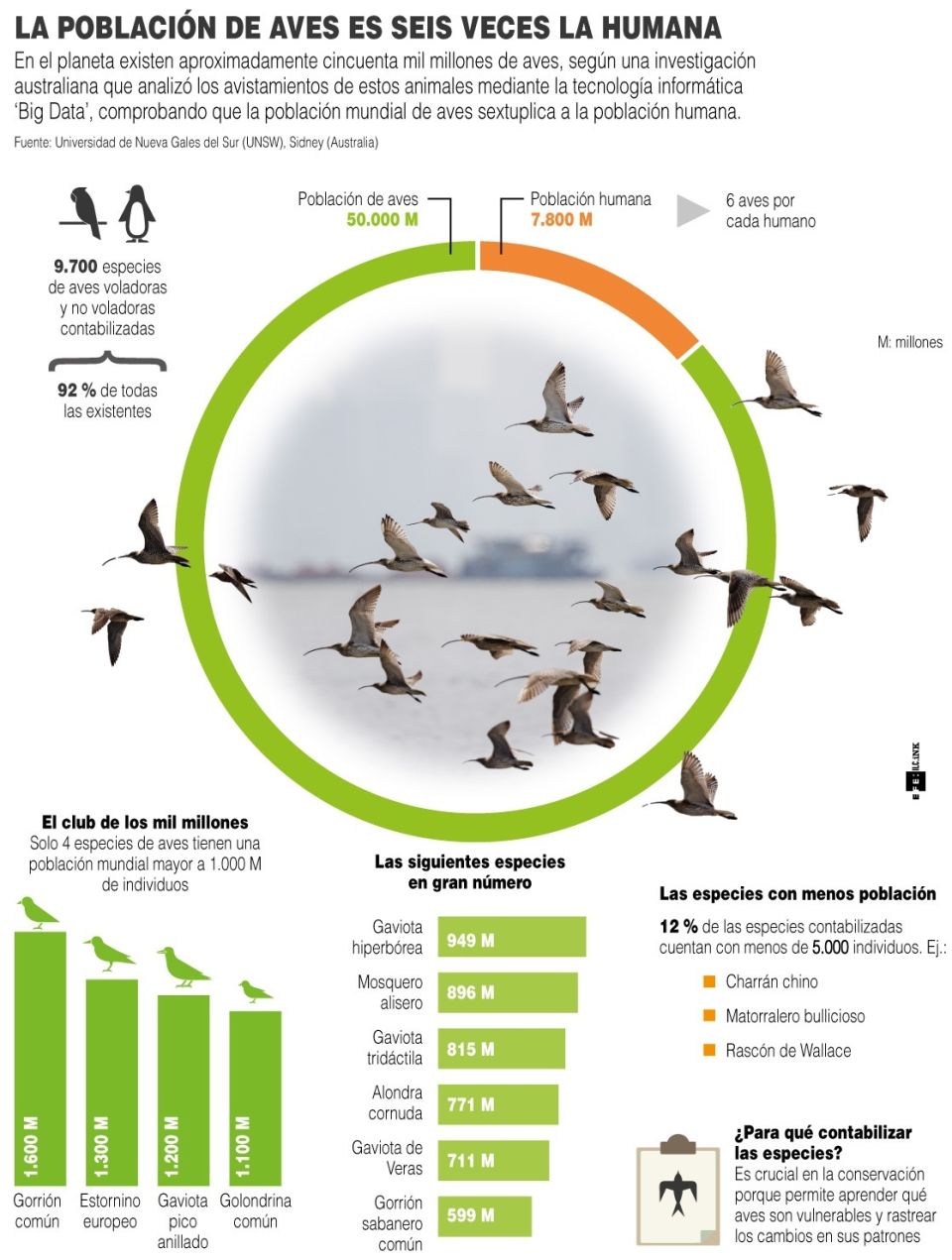 Infografía aves