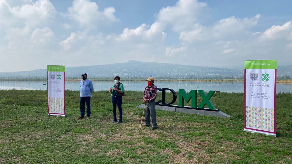Sedema CdMx