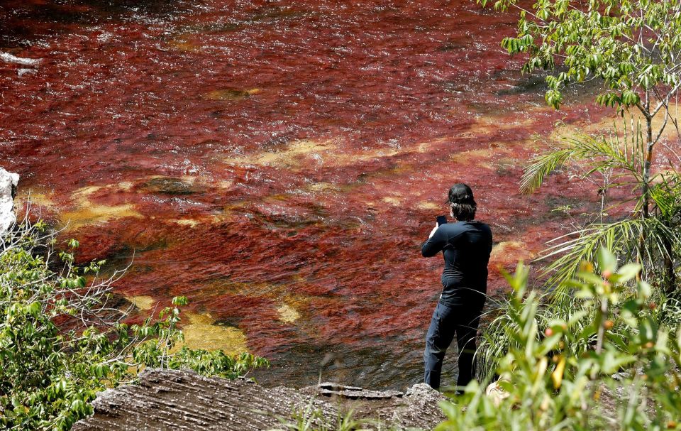 Caño Cristales