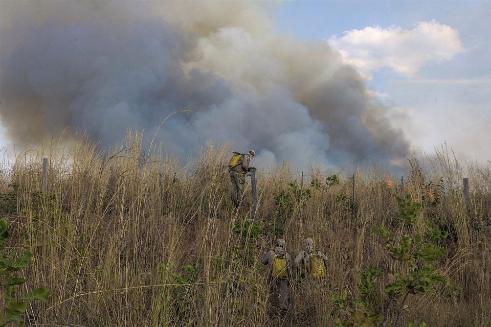 Incendio en la Amazonía