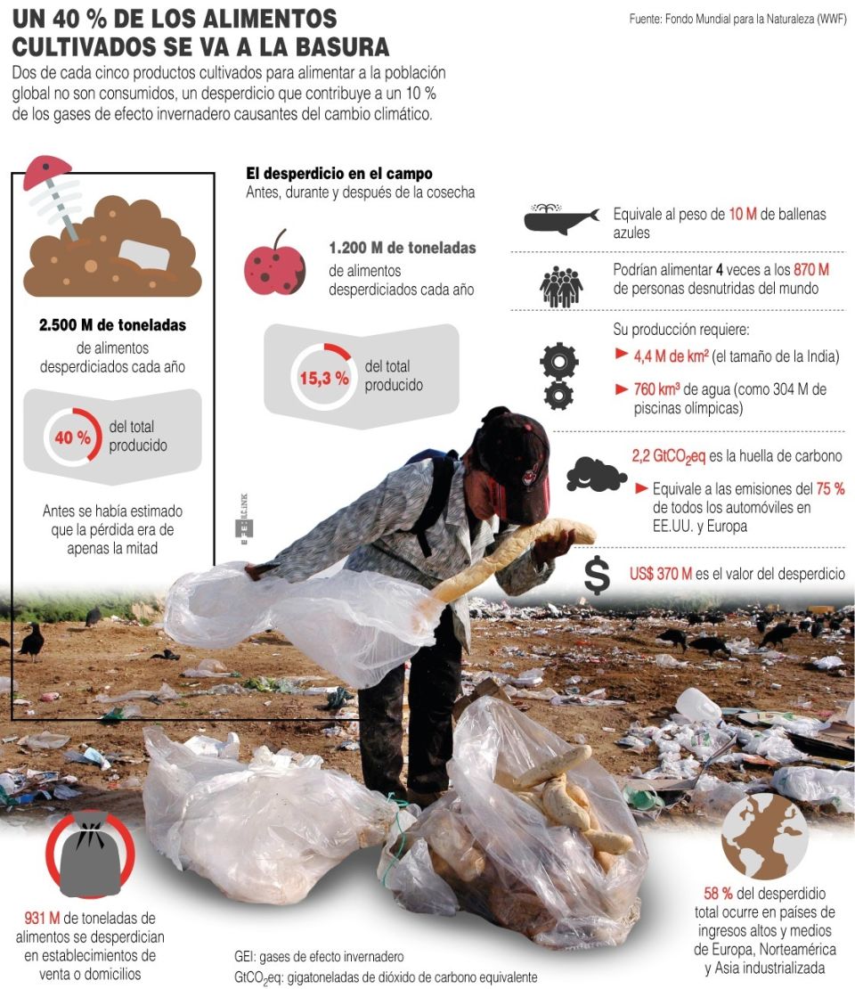 Infografía desperdicio de alimentos