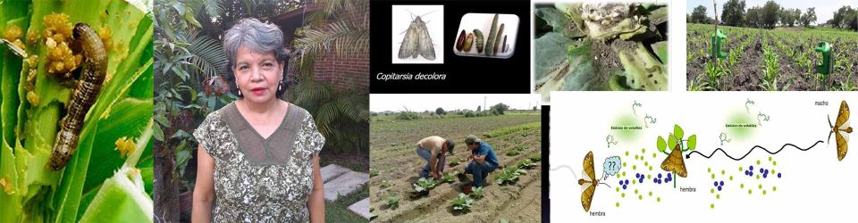 CS del IPN Agroecología IPN