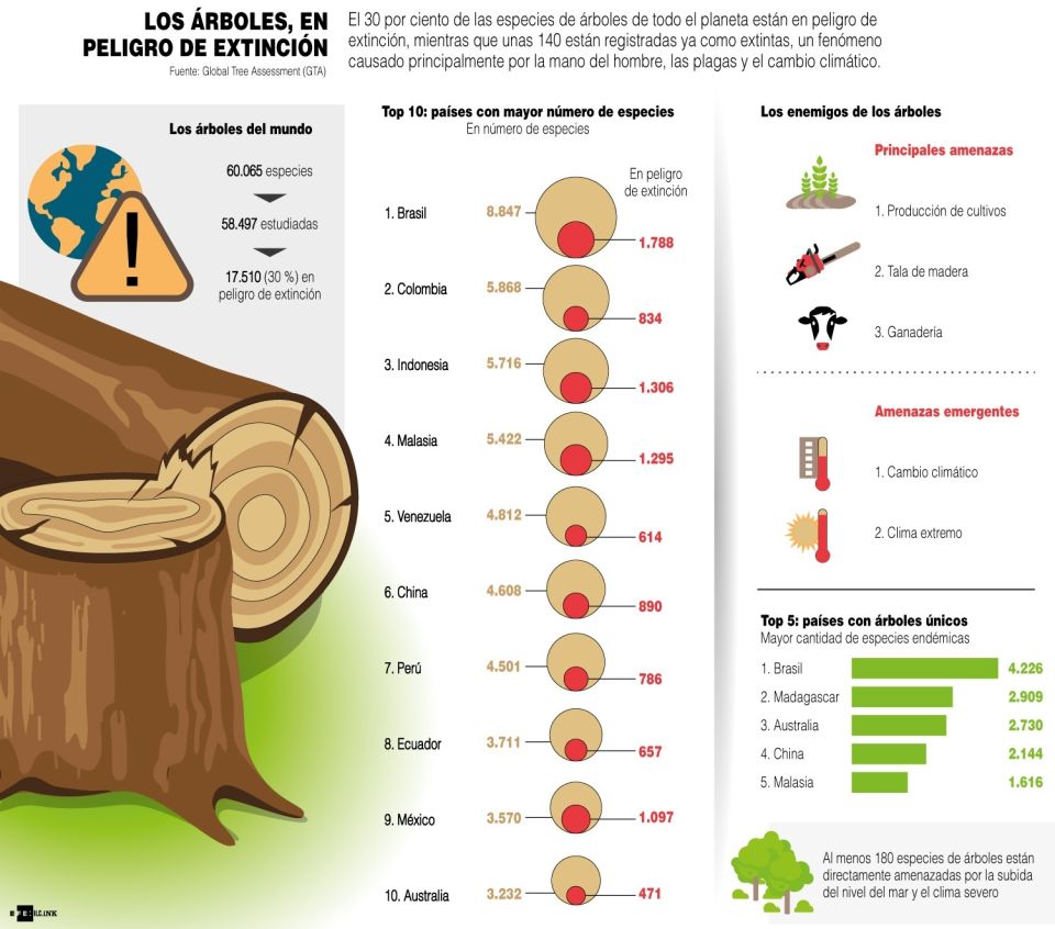 Infografía árboles