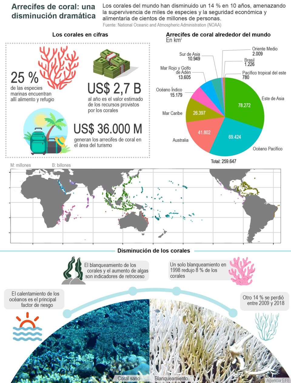 Infografía corales