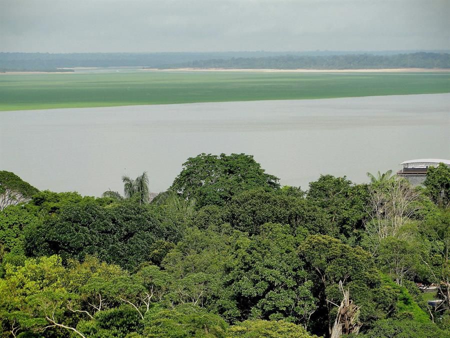 Amazonía