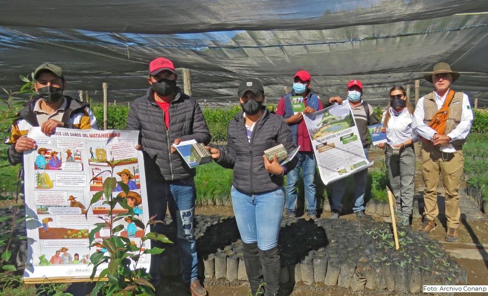 parcelas agroecológicas 