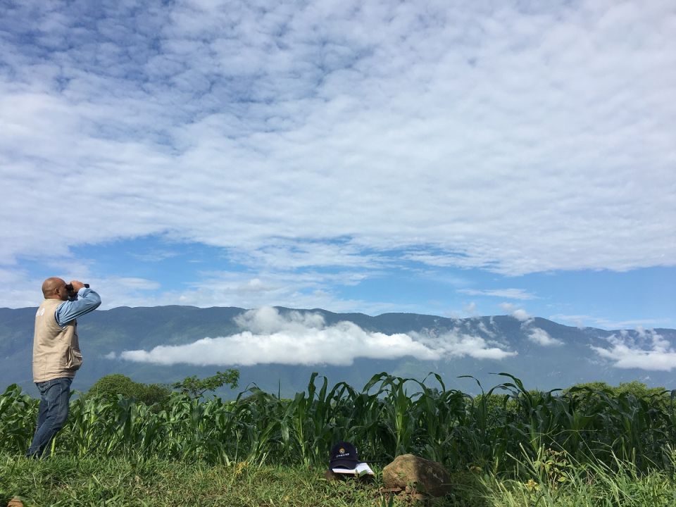 Reserva de la Biósfera Sierra de Manantlán