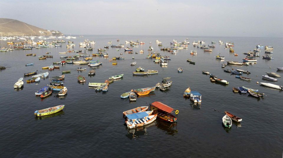 Barcos pescadores