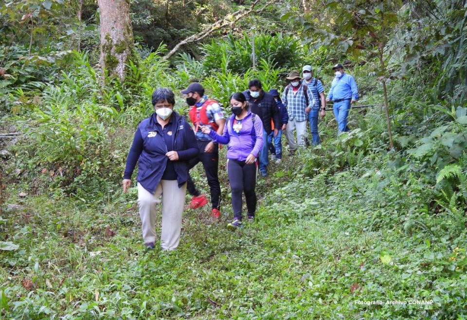 Educación ambiental