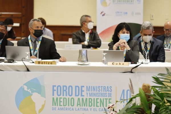 Foro Medio Ambiente