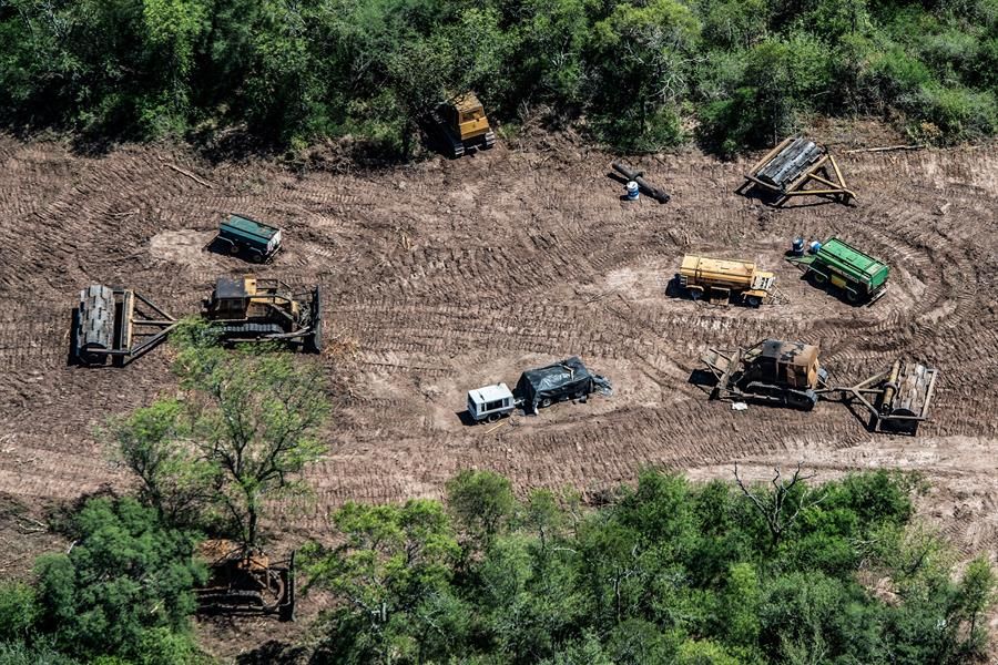 Deforestación en Argentina