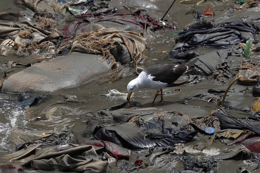 Contaminación en el playa