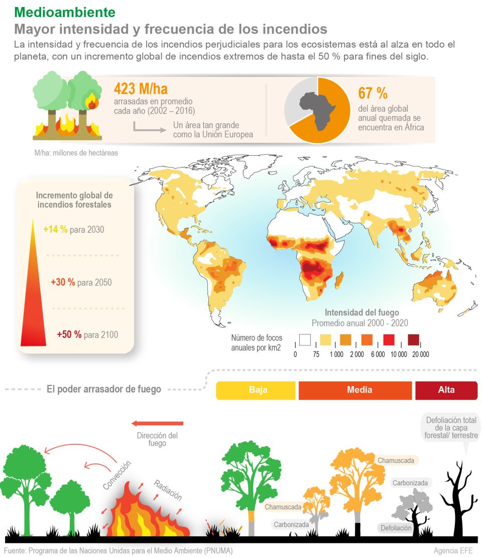 Infografía Incendios