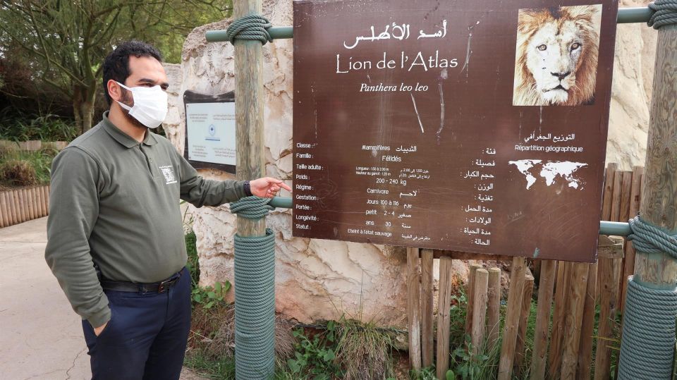 El jefe del servicio veterinario del zoo de Rabat, Saad Azizi. Efe/Mohamed Siali zoo de Rabat