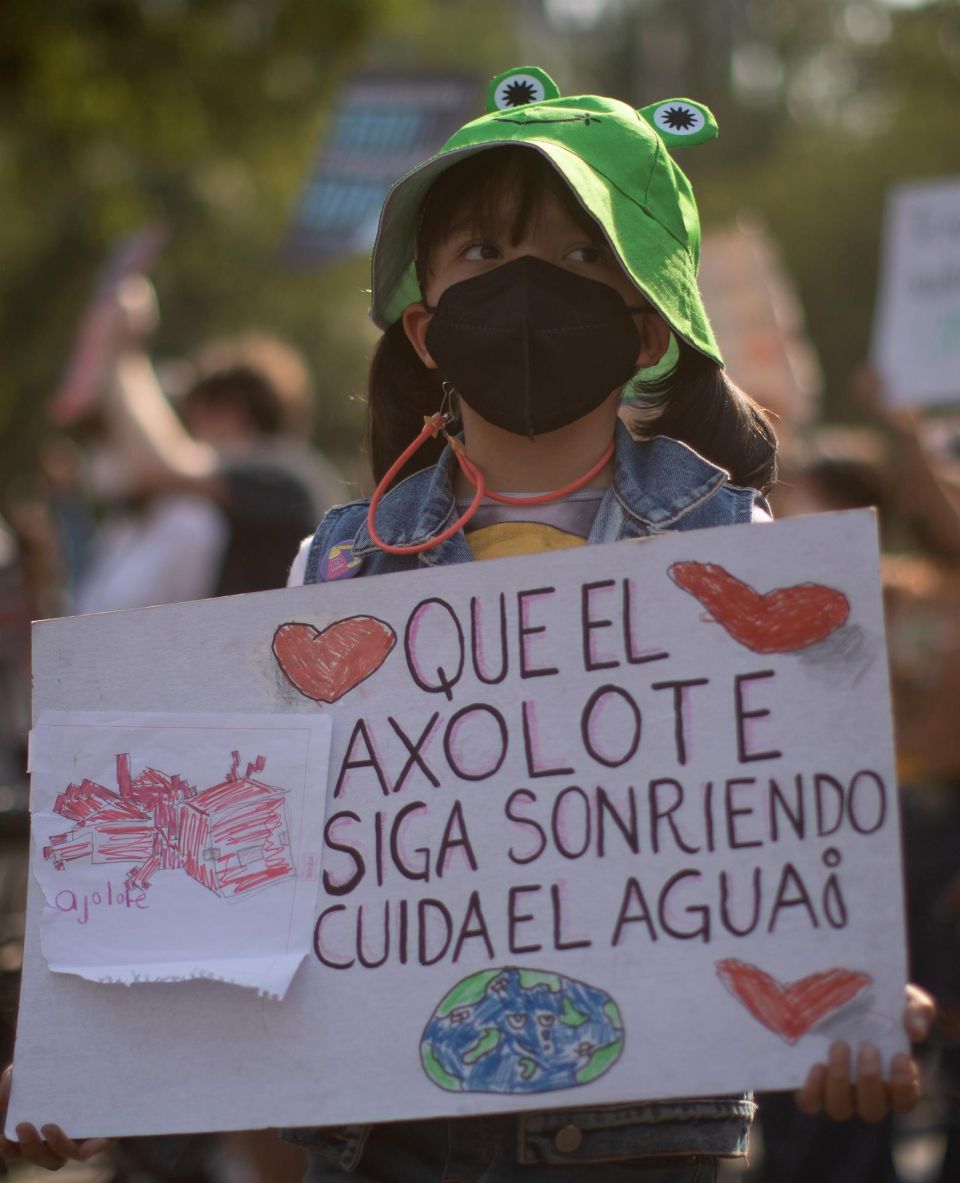 Ambientalistas 