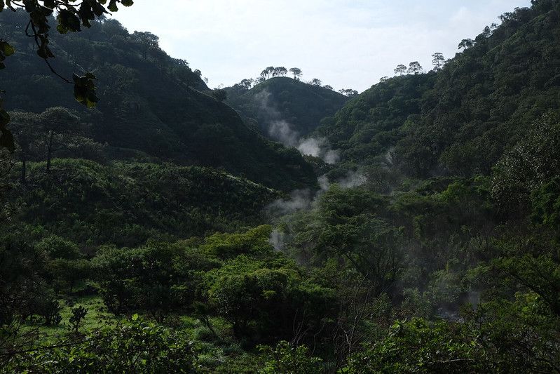 Bosque La Primavera