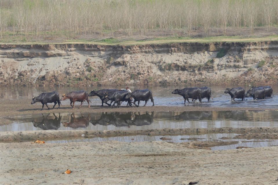 Río en Pakistán