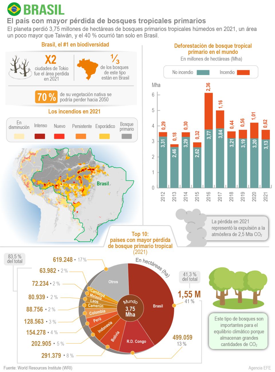 Infografía Bosques de Brasil