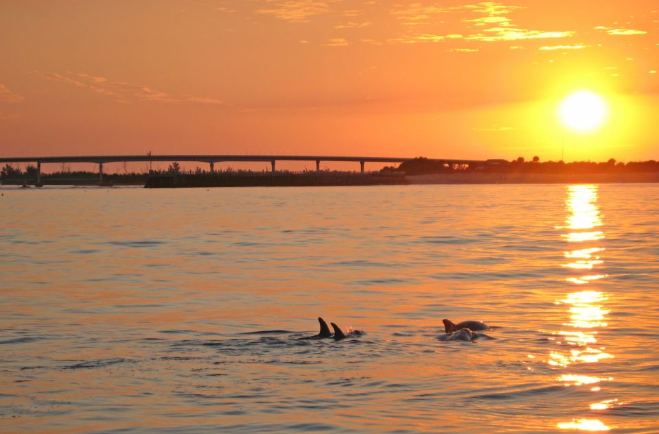 Delfines