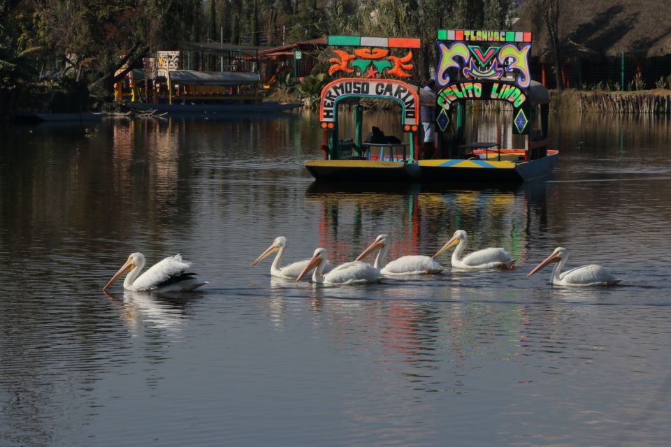 Xochimilco Sedema