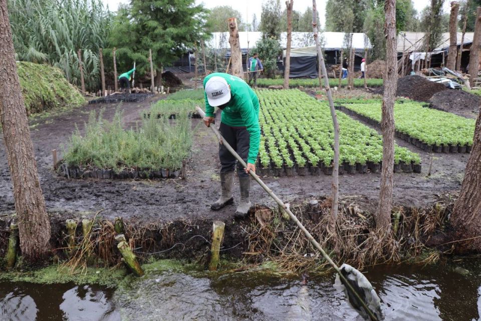 Xochimilco Sedema