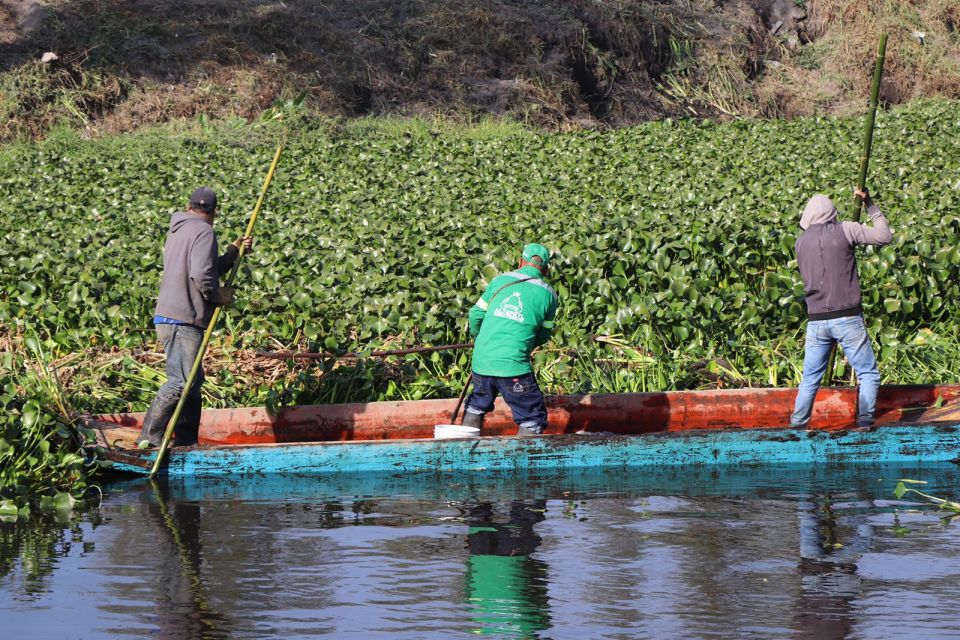 Xochimilco Sedema