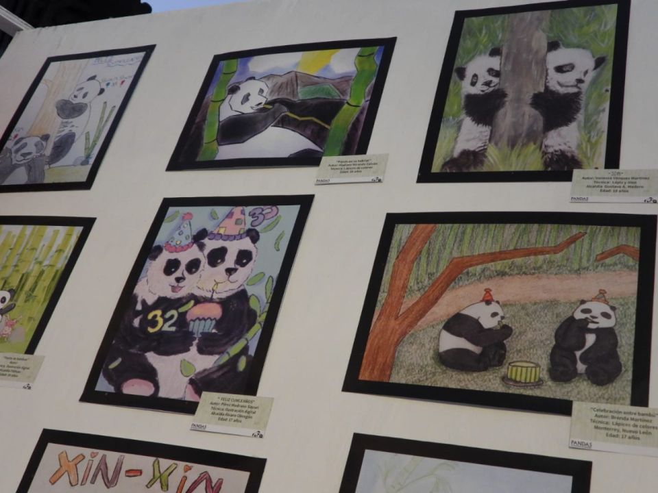 Dibujo de pandas