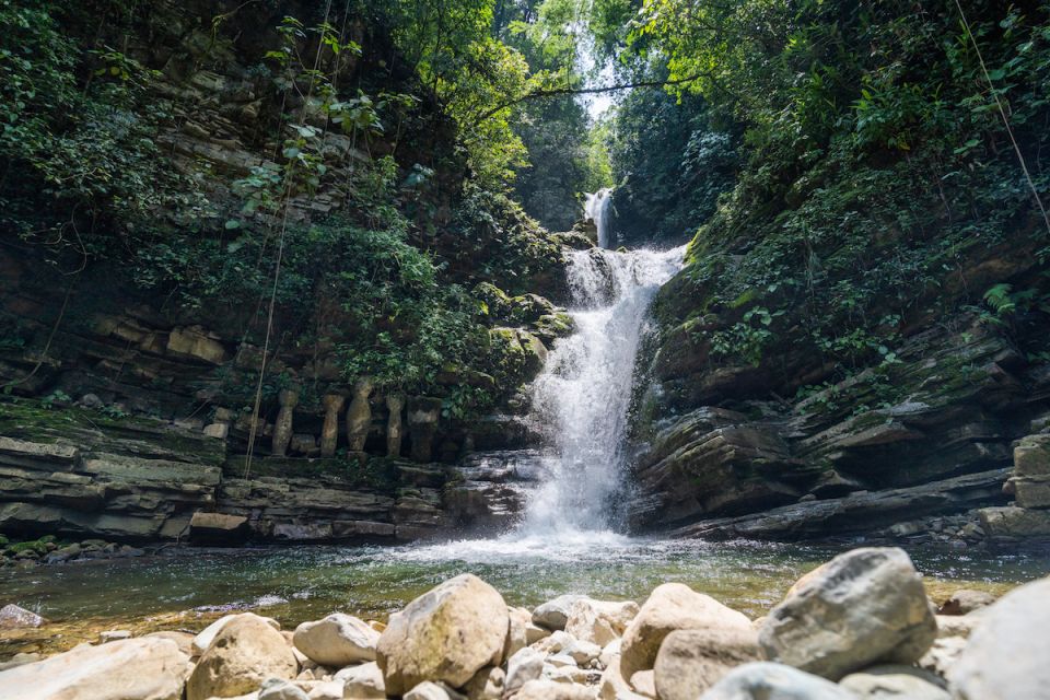 Las Pozas Joe Richaud