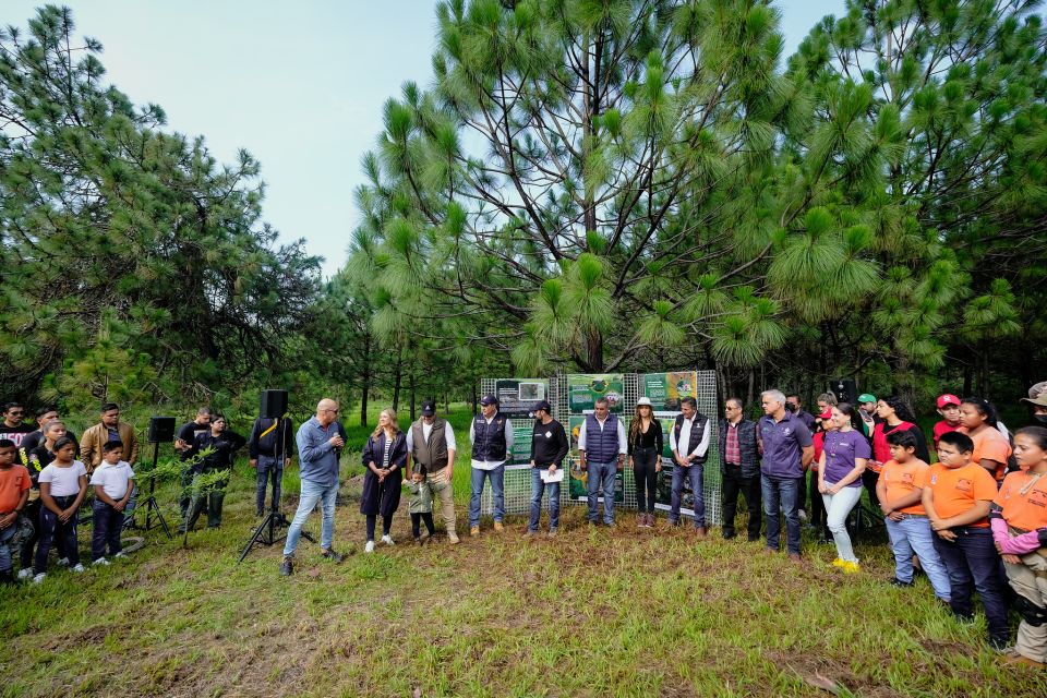 Reforestación 