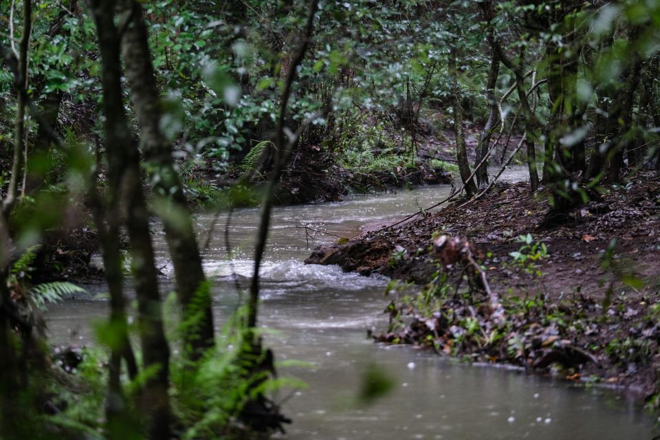 Sierra de Quila