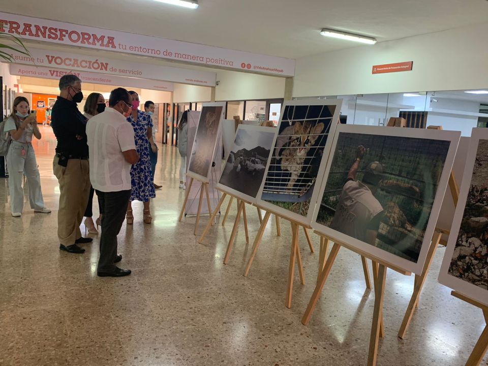 Profepa Galería Ambiental Itinerante