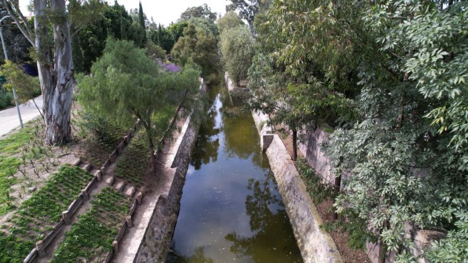 Canal Nacional Sedema