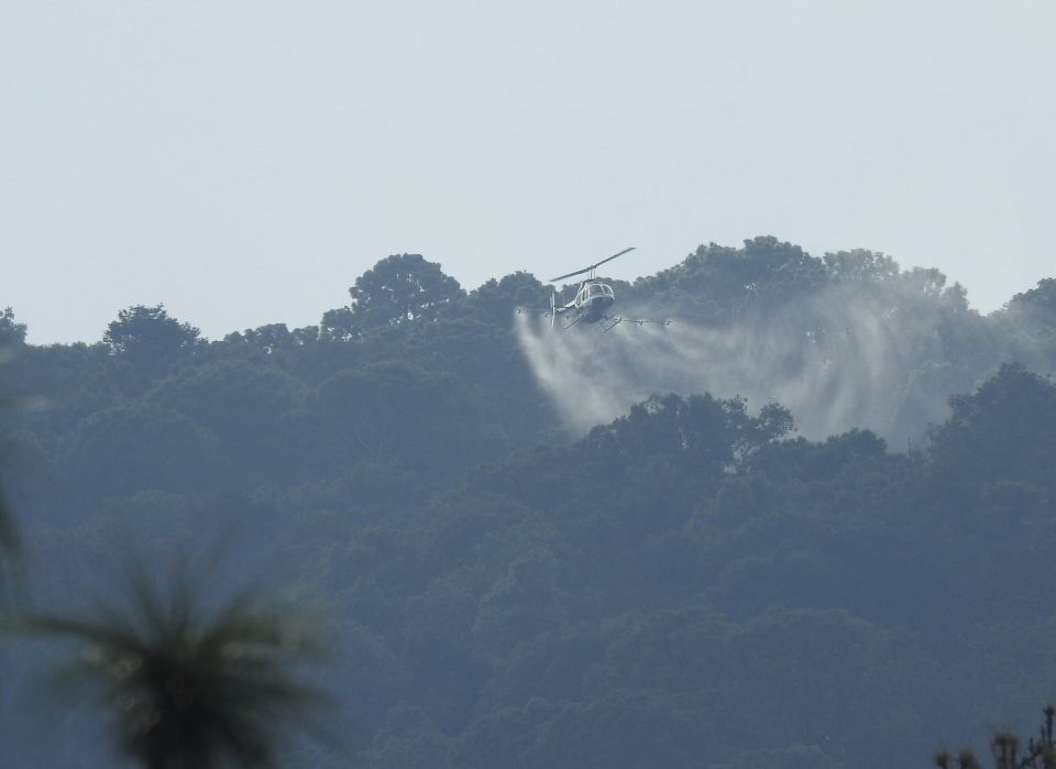 Reserva de la Biosfera Sierra de Manantlán