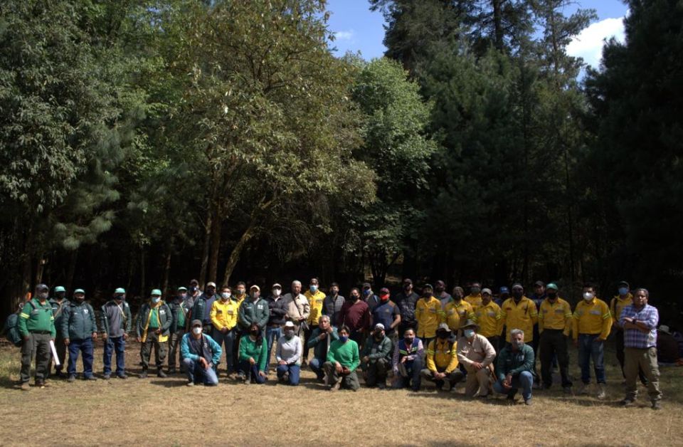 Reforestación en suelo de conservación 