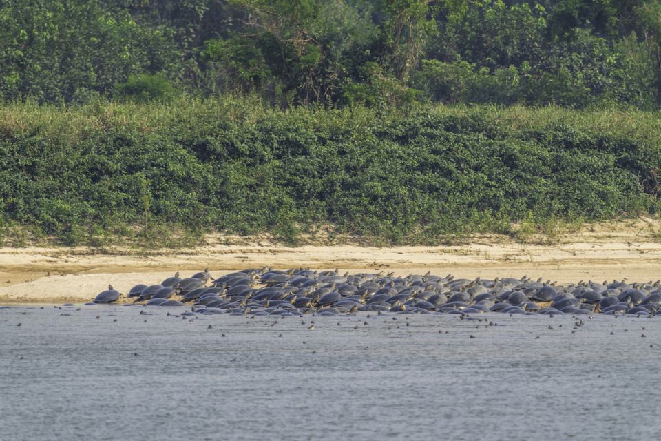 Tortugas