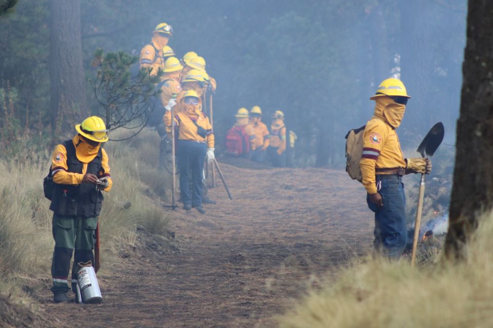 Combatientes de incendios forestales