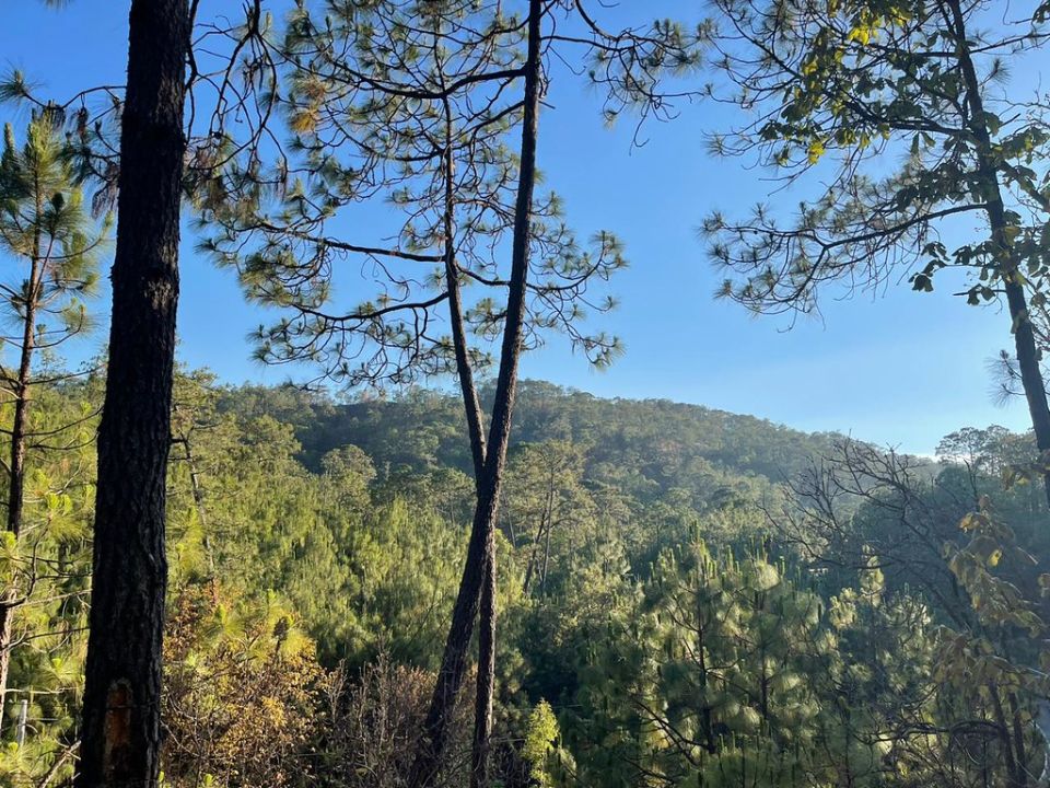 Paisaje Biocultural de la Sierra Occidental