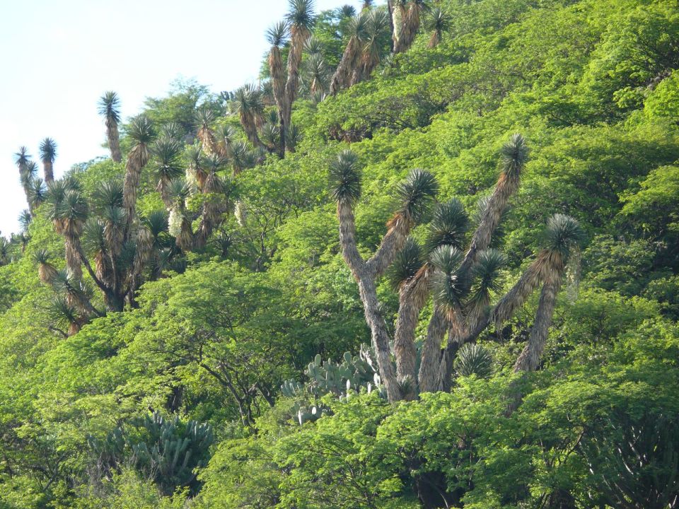 Peña Colorada