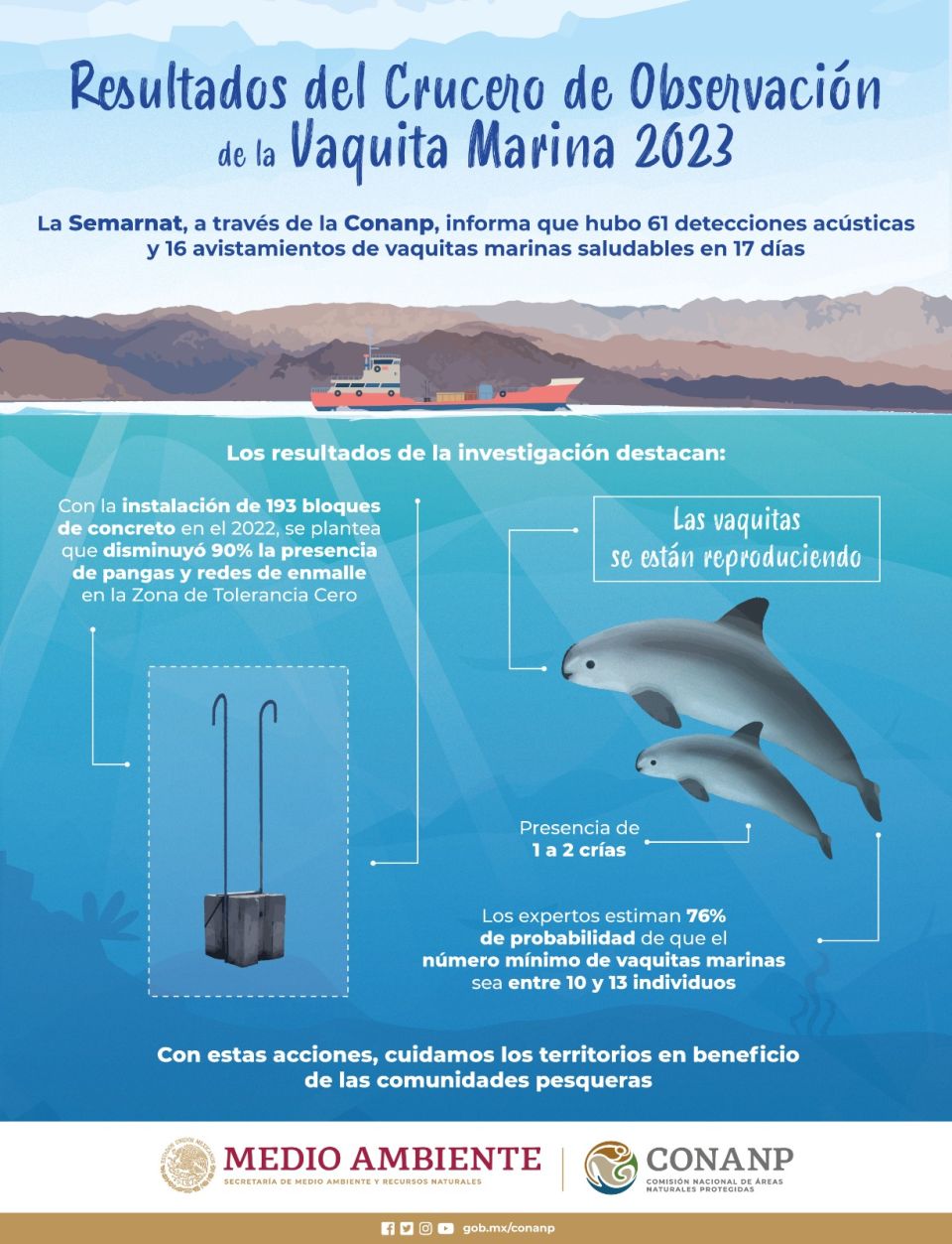 Infografía Vaquita marina