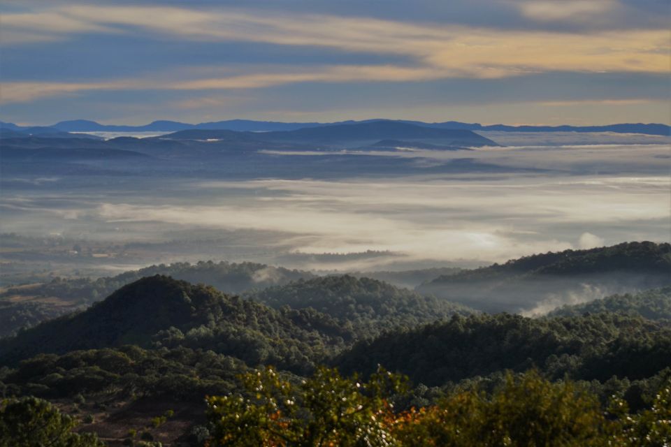 Bosque de la Mixteca Alta de Oaxaca