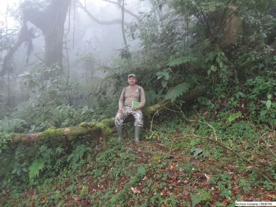 Ismael Gálvez Gálvez
