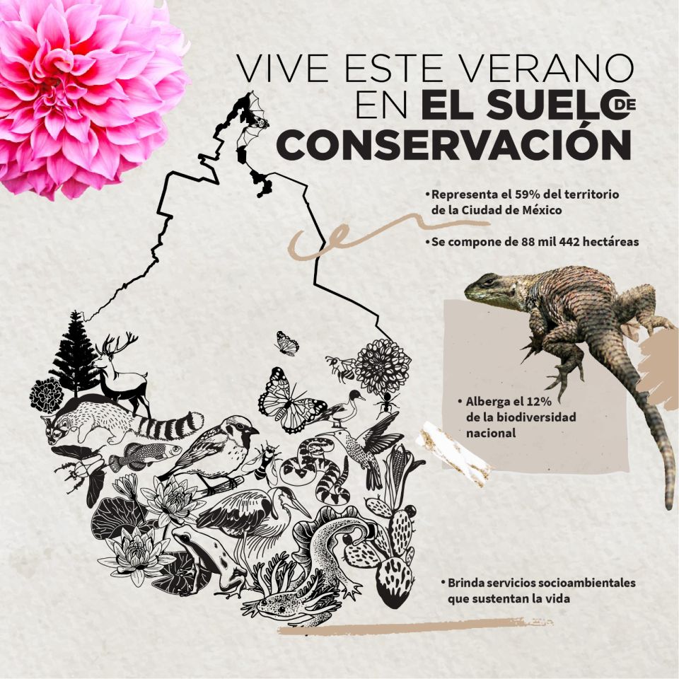 Suelo de Conservación