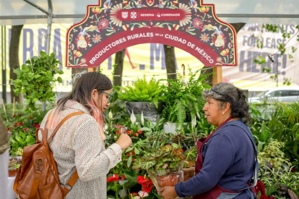 Festival de las Flores de Verano en la CDMX