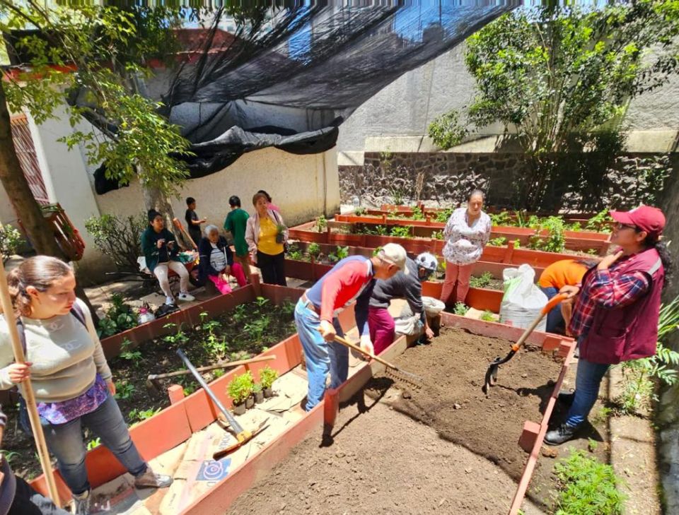 Huerto urbano